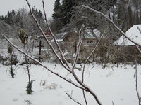 DSCN1802.JPG