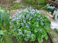 2013.05.15.10.jpg