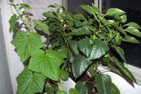 DSC_0001-min.jpg