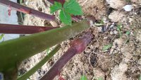20170708_143023.jpg
