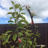 IMG_6445.JPG