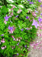 IMG_3406.JPG