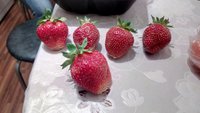 IMG_20170703_211720.jpg