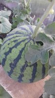 20170710_200521.jpg