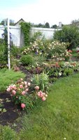 20170702_164142.jpg