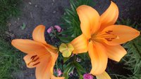 20170710_200234.jpg