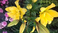 20170710_200244.jpg