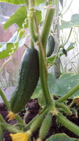 IMG_20170711_201216.jpg