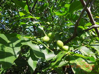 DSCN5906.JPG