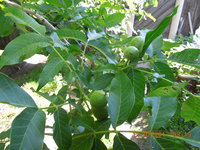 DSCN5907.JPG