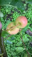 WP_20170713_002.jpg