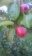WP_20170713_009.jpg