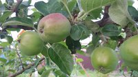 20170715_073258.jpg