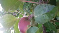 20170715_073334.jpg