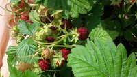 20170715_120626.jpg