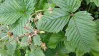 20170716_145921.jpg