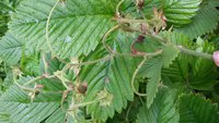 20170716_145946.jpg