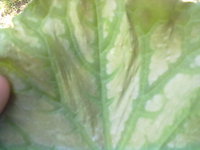 120620136723.jpg