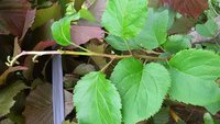 20170715_131900.jpg