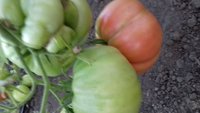 20170717_203709.jpg