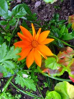 IMG_3465.JPG