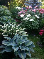 IMG_20130612_201054.jpg