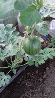20170717_203619.jpg