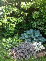 IMG_20130612_201136.jpg