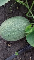 20170717_203648.jpg