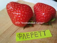 Флеретт_20170719_152805.jpg