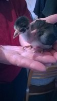WP_20170506_008.jpg