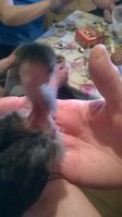 WP_20170506_009.jpg
