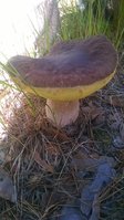 WP_20170716_002.jpg