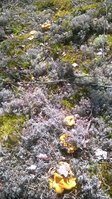 WP_20170714_001.jpg
