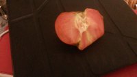 20170720_224323.jpg
