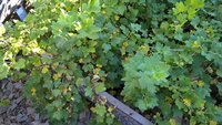 WP_20170721_16_59_29_Pro.jpg