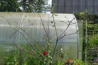 2017-07-23 10.04.03-1.jpg