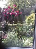 20170725_095210.jpg