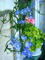 IMG_3673.JPG