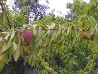 IMG_20170723_155355-min.jpg