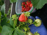 20170710_133313.jpg