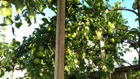 20170723_193140.jpg