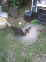IMG_20170724_171528.jpg