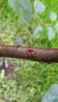 20170725_205416.jpg