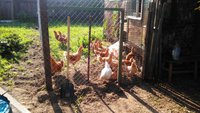 IMG-20170726-WA0054.jpg