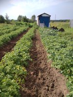 IMG_20170727_092300.jpg