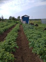 Вот что получилось безручного труда.
