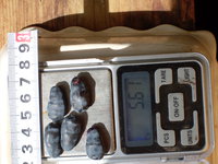 SDC13728.JPG