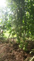 20170728_080343.jpg