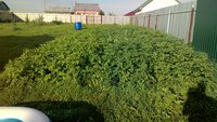 P_20170722_174022.jpg